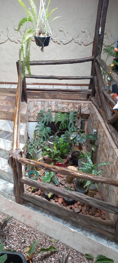 Hostel Casa Latina レンソイス エクステリア 写真